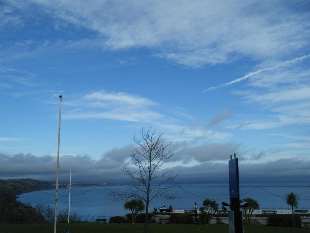 Babbacombe Royal Hotel And Carvery Торки Екстериор снимка